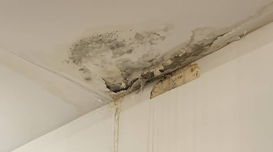 Clogged AC Drain Line: The Houston Summer Leak Everyone Mistakes for a Roof Leak